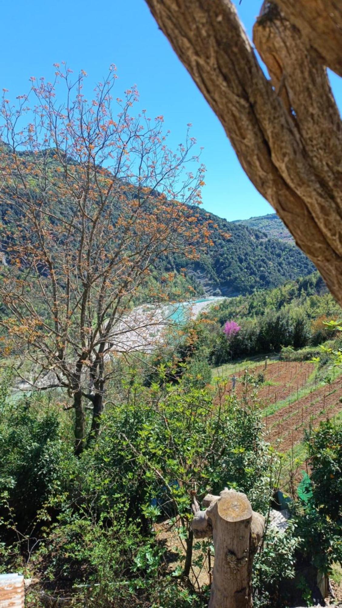 Ktimata Evdoxia Villa Platanoussa Luaran gambar